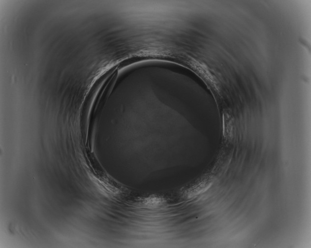 X0000097590204200802291227