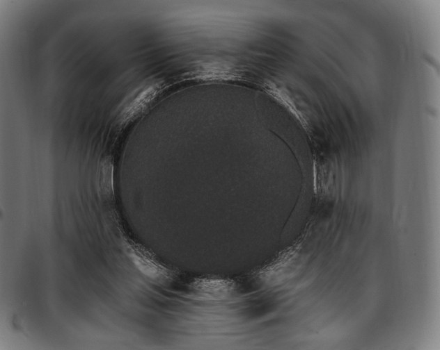 X0000097590205200802291227