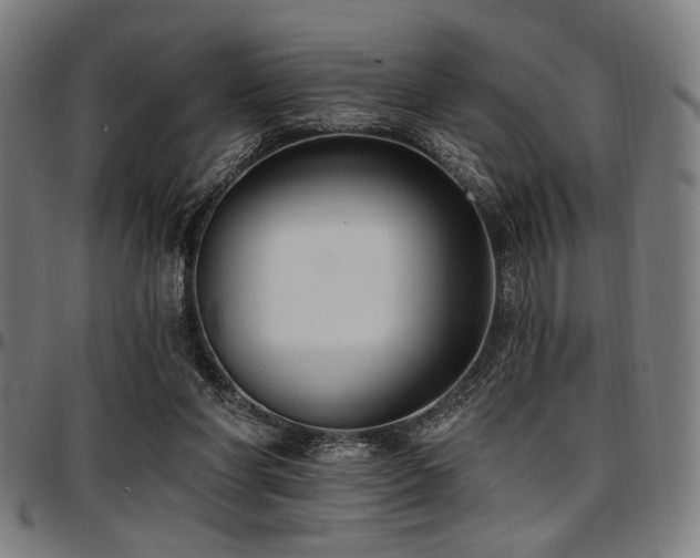 X0000097590206200802291227