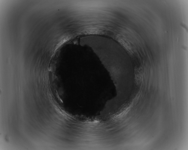X0000097590207200802291227