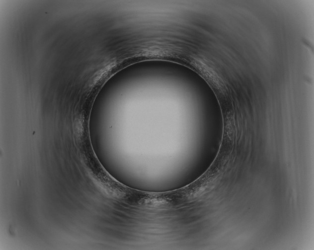 X0000097590208200802291227