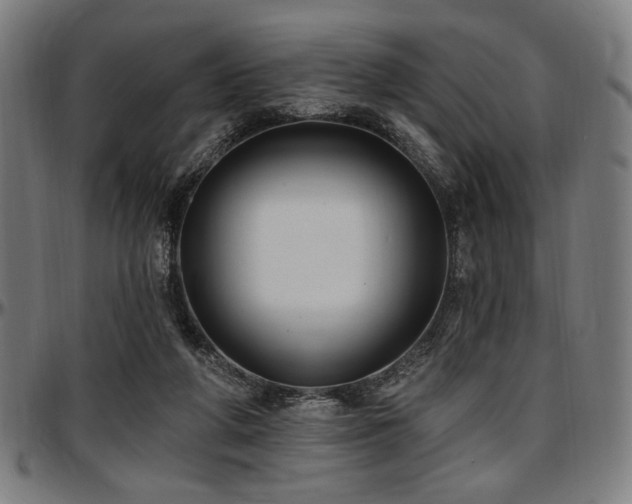 X0000097590210200802291227