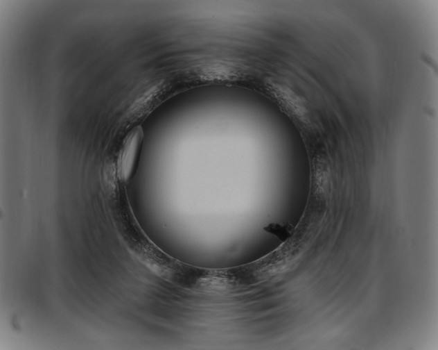 X0000097590211200802291227