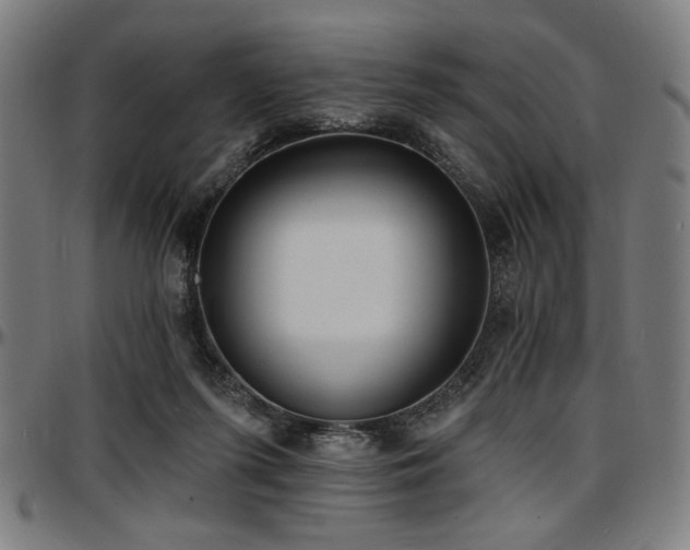 X0000097590215200802291227