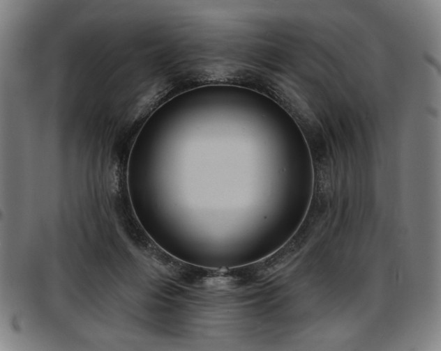 X0000097590216200802291227