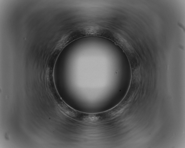 X0000097590217200802291227
