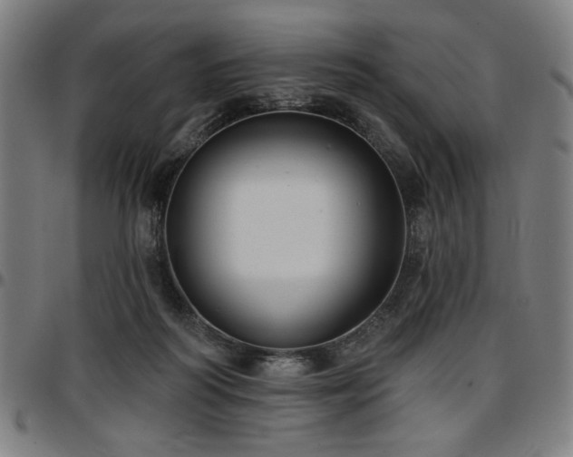 X0000097590218200802291227