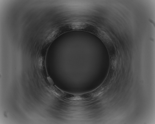 X0000097590219200802291227