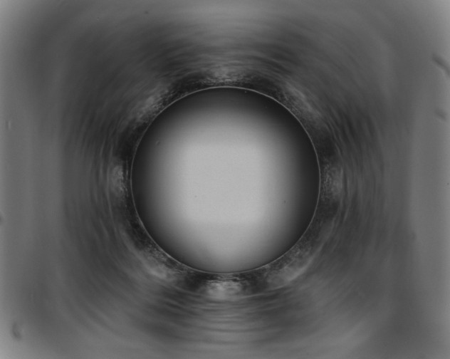 X0000097590220200802291227