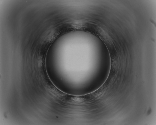 X0000097590221200802291227