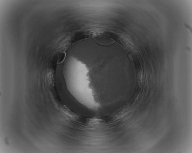 X0000097590222200802291227