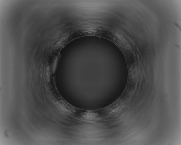 X0000097590223200802291227
