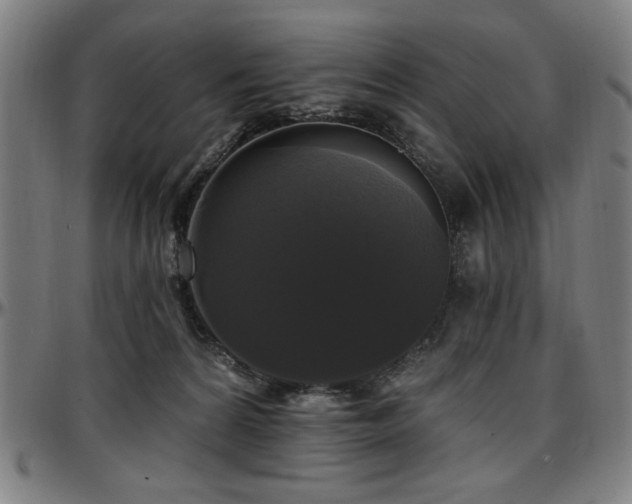 X0000097590224200802291227
