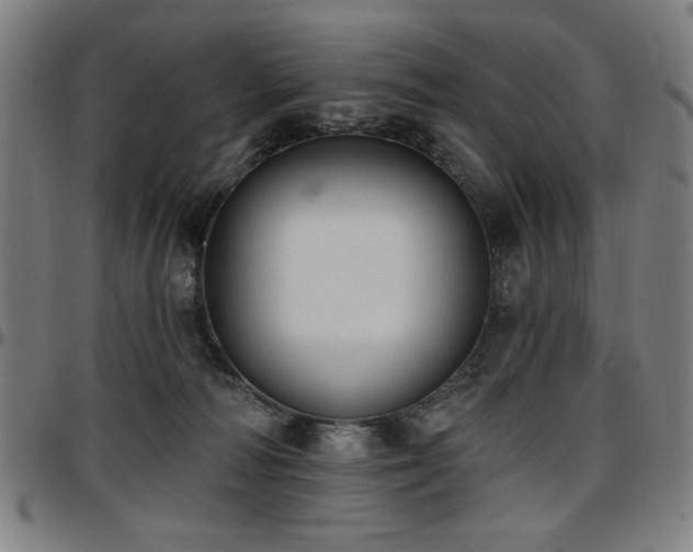 X0000097590226200802291227