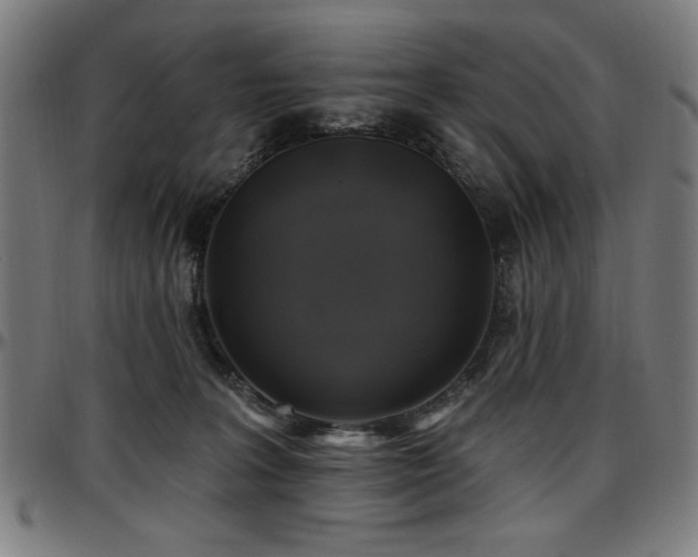 X0000097590227200802291227
