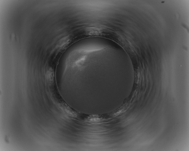X0000097590228200802291226