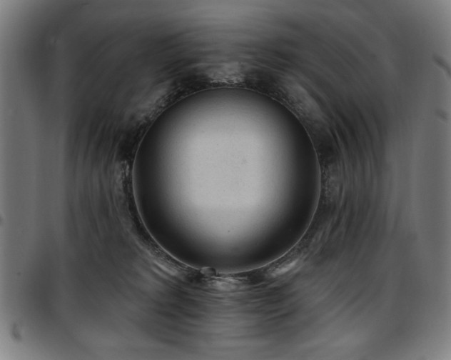 X0000097590229200802291226