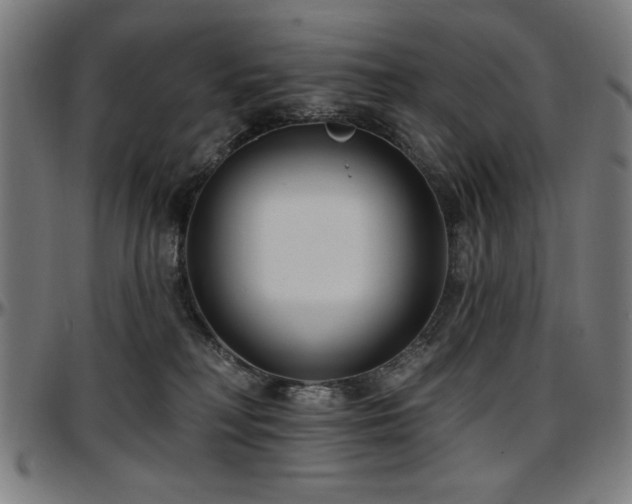 X0000097590230200802291226