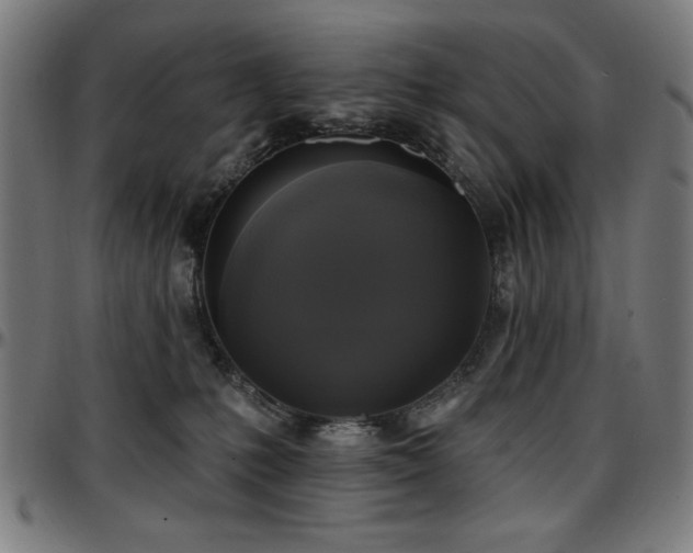 X0000097590231200802291226