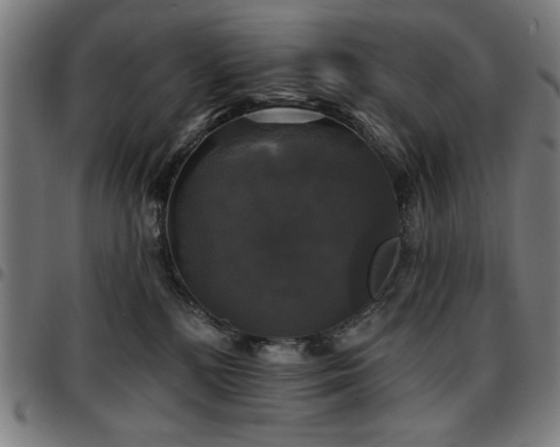 X0000097590232200802291226