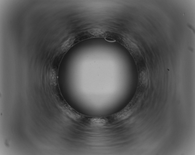 X0000097590234200802291226