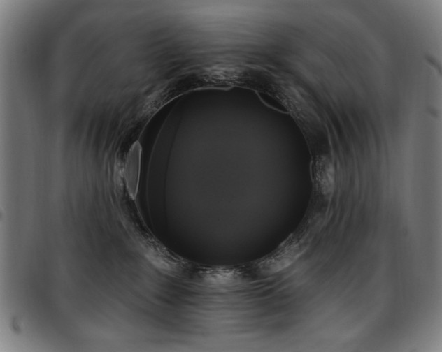 X0000097590235200802291226