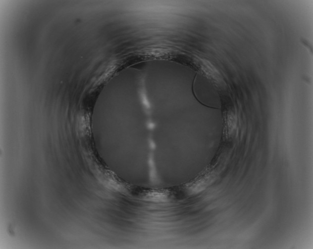 X0000097590236200802291226