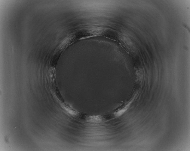 X0000097590237200802291226