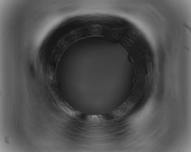X0000097590239200802291226