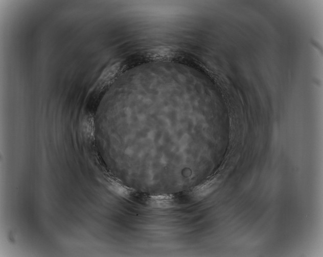 X0000097590240200802291226