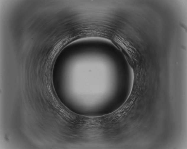 X0000097590241200802291226