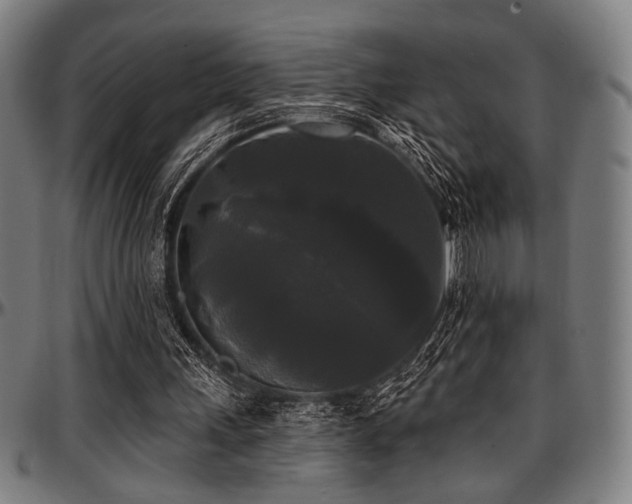 X0000097590243200802291226