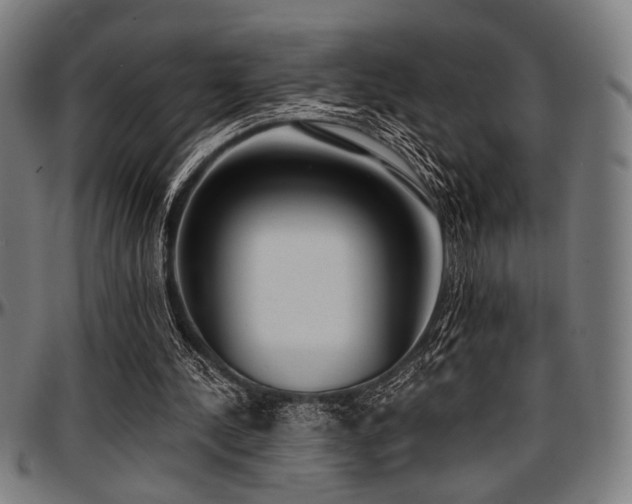 X0000097590244200802291226