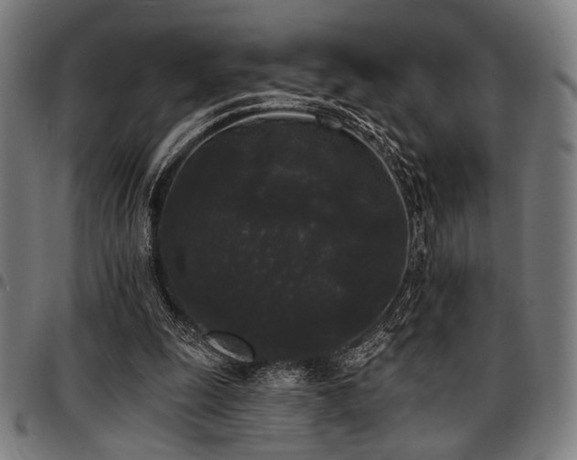 X0000097590247200802291226