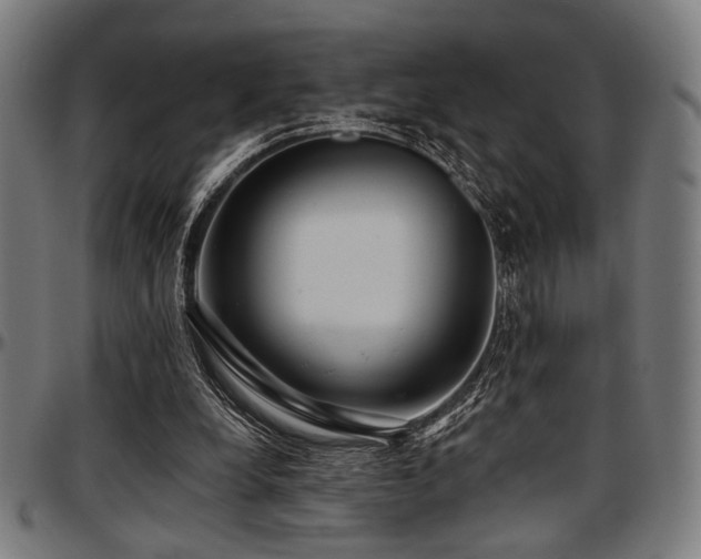 X0000097590248200802291226