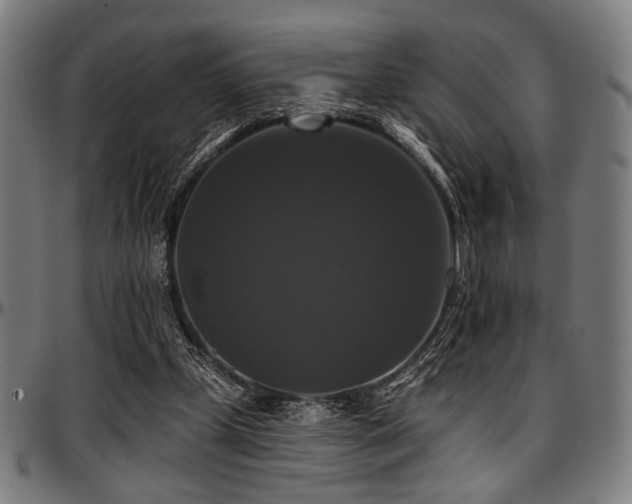 X0000097590249200802291226