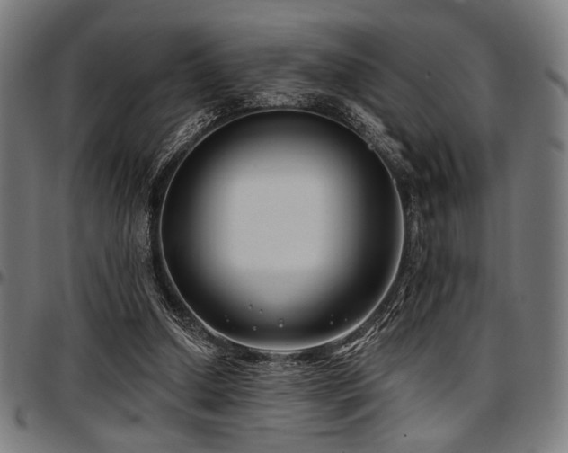 X0000097590250200802291226