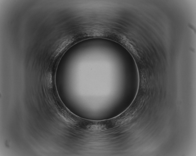 X0000097590251200802291226