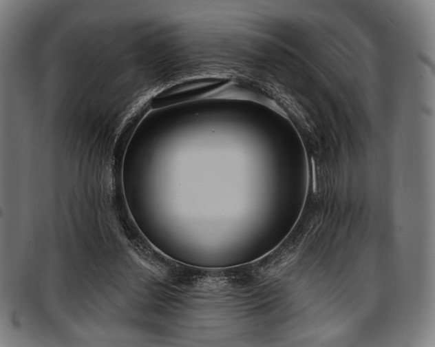 X0000097590252200802291226