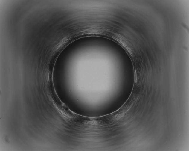 X0000097590253200802291226