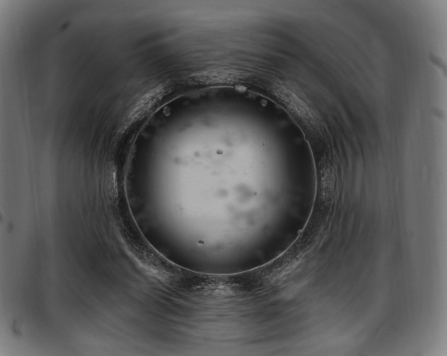 X0000097590254200802291226