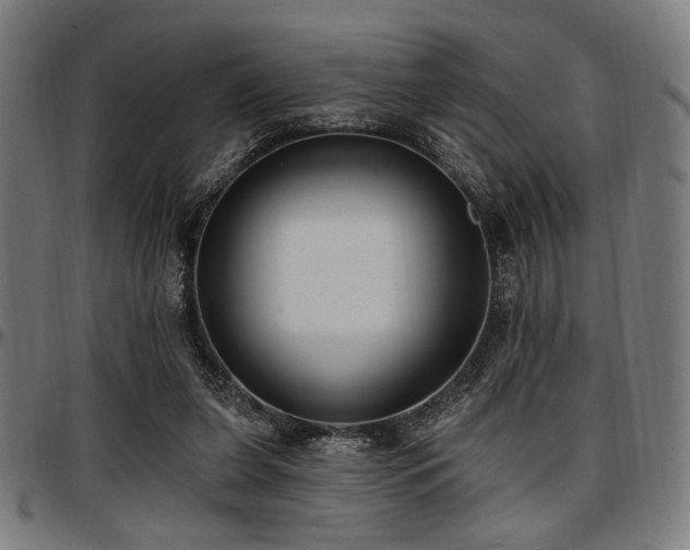 X0000097590255200802291226