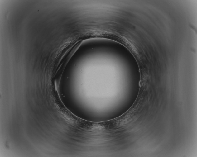 X0000097590257200802291226