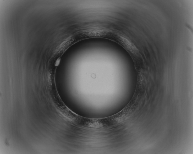 X0000097590258200802291226