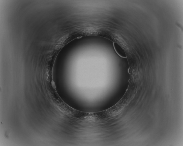 X0000097590259200802291226