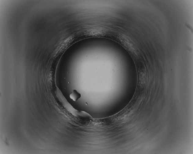 X0000097590260200802291226