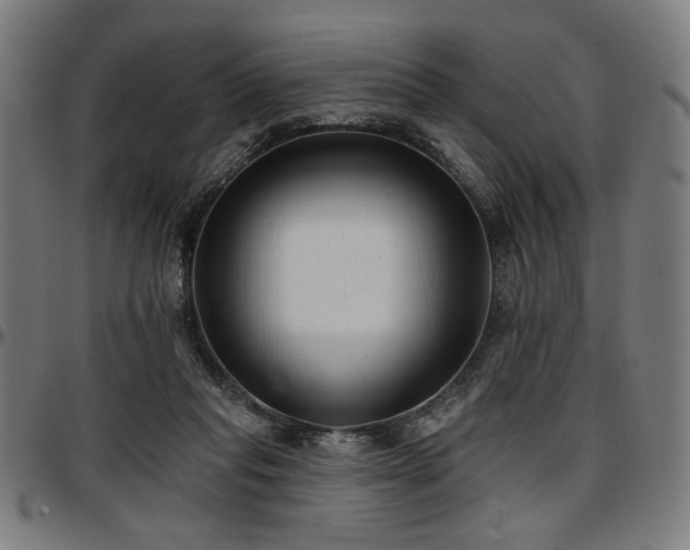 X0000097590261200802291226