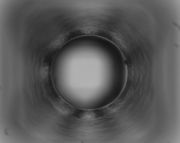 X0000097590263200802291226