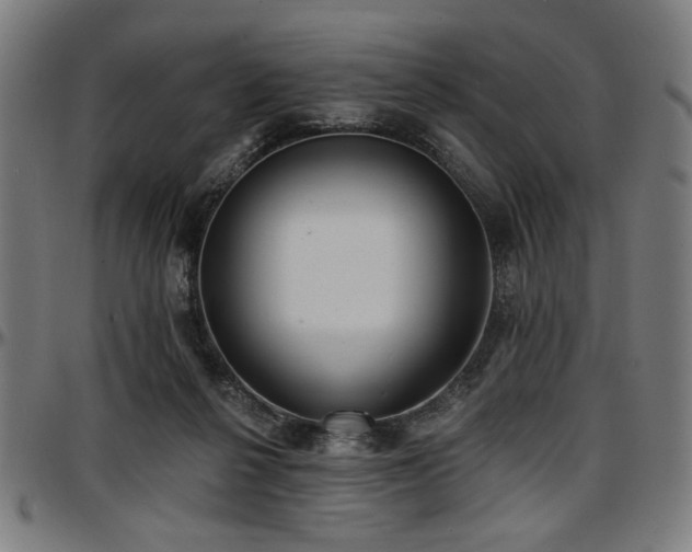X0000097590264200802291226