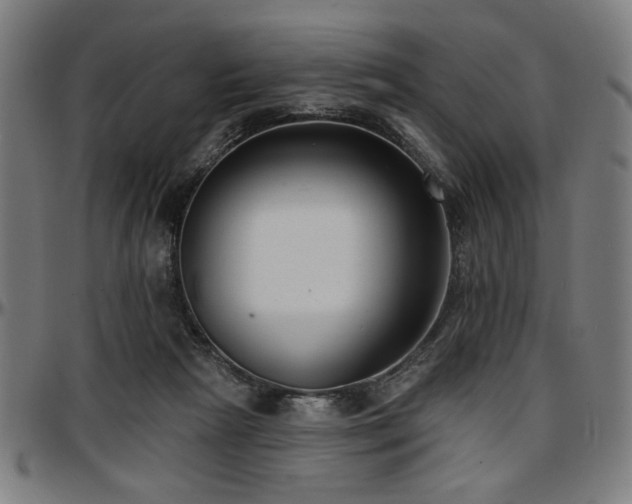 X0000097590265200802291226